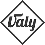valy logo new